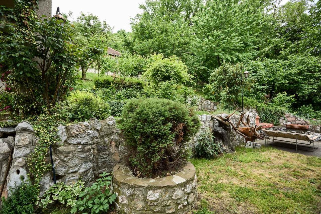Apartmani Dr. Gasa 索科矿泉村 外观 照片